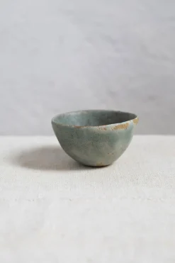 Bol mini Sage