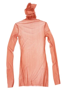 cisne de tul, top rouille