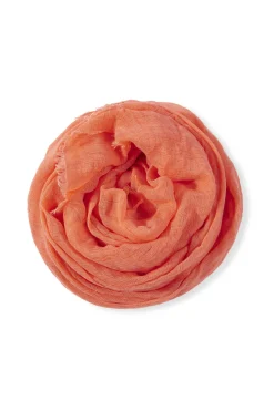 Giuseppe, coral foulard