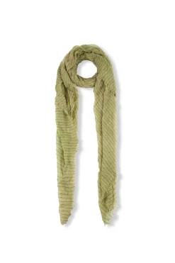 Giuseppe, green striped foulard